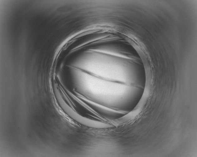 X0000082950960200702152236