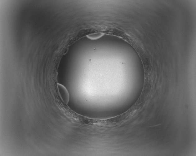 X0000082950961200702152236