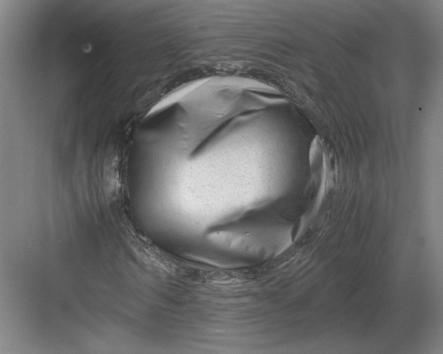 X0000082950962200702152236