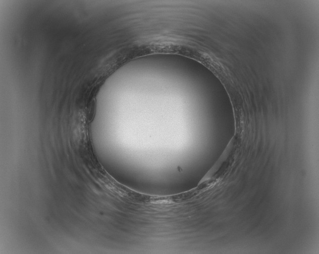 X0000082950964200702152236