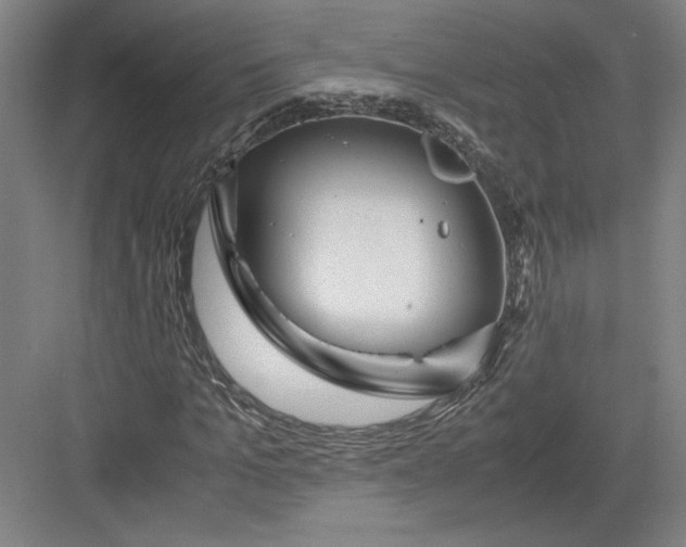 X0000082950965200702152236