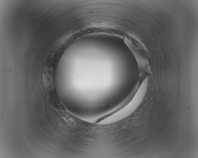 X0000082950968200702152236