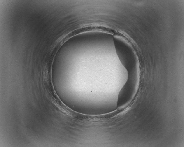 X0000082950969200702152236