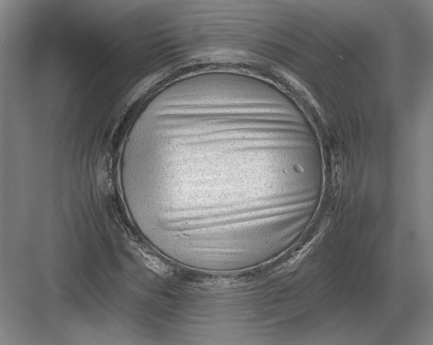 X0000082950970200702152236