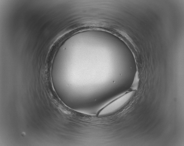 X0000082950971200702152236