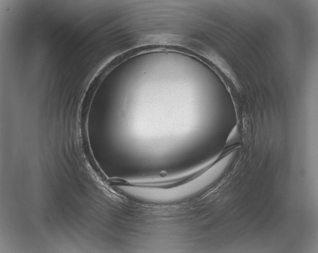 X0000082950972200702152235