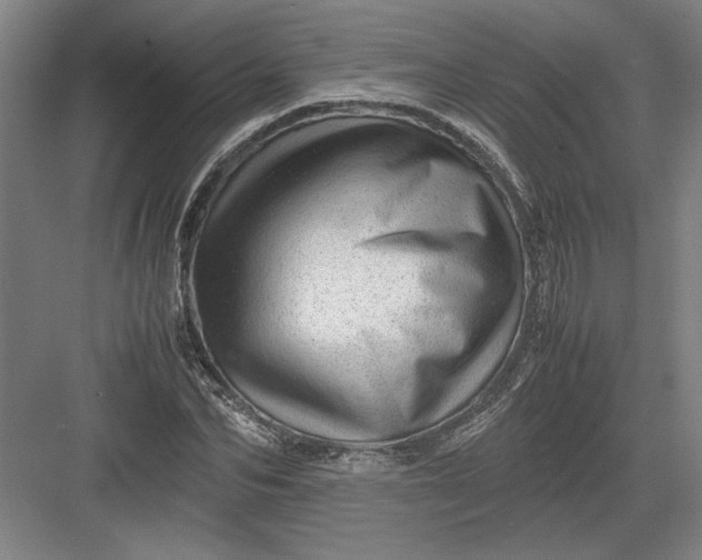 X0000082950974200702152235