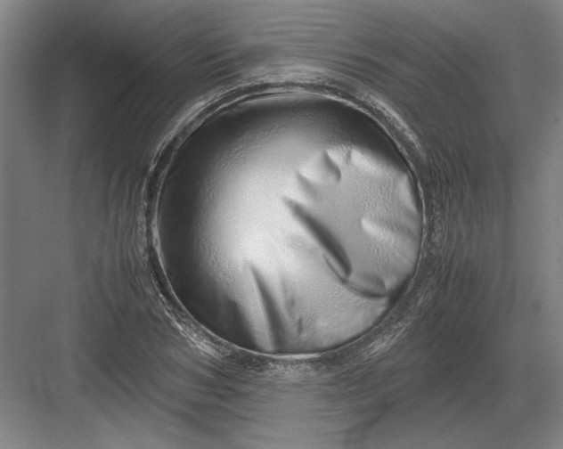 X0000082950978200702152235