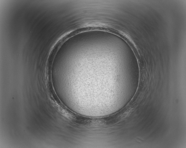 X0000082950979200702152235