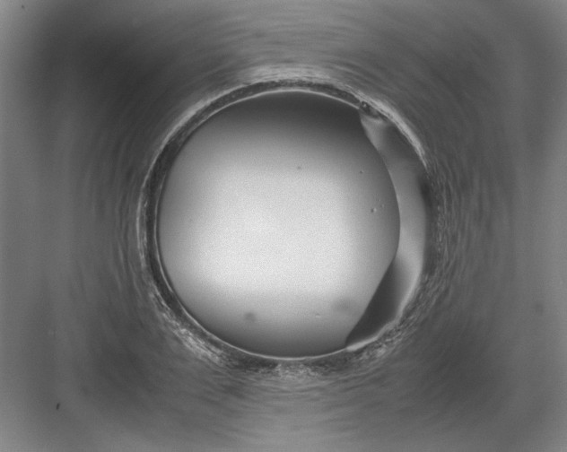 X0000082950983200702152235