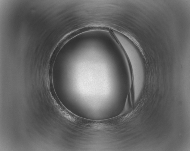 X0000082950984200702152235