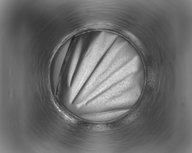 X0000082950986200702152235