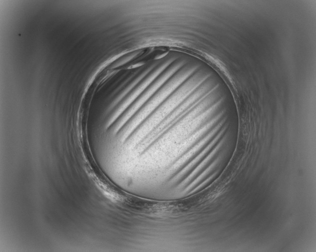 X0000082950987200702152235
