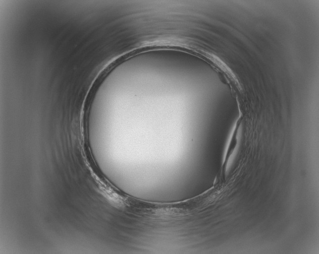 X0000082950988200702152235