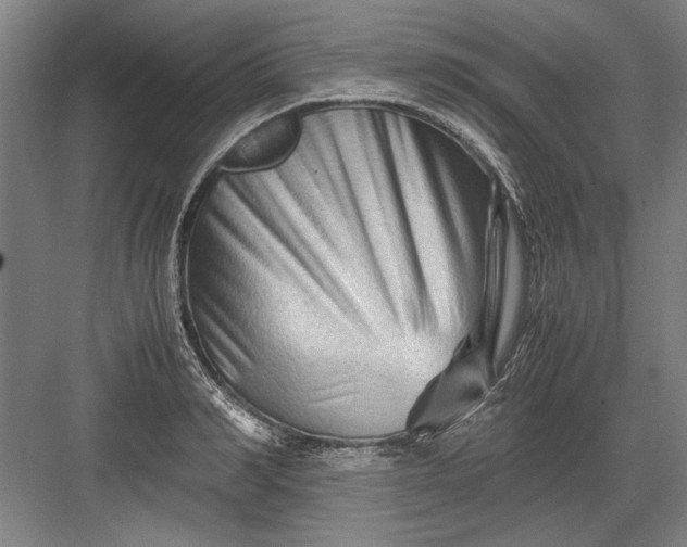 X0000082950990200702152235