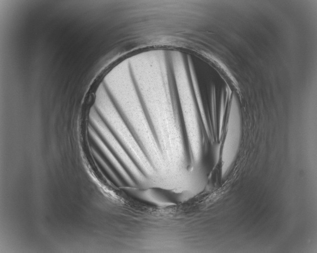 X0000082950991200702152235