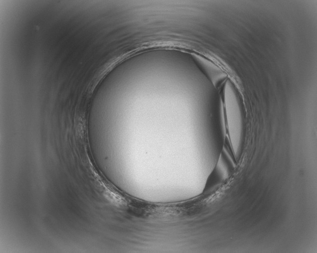 X0000082950993200702152235