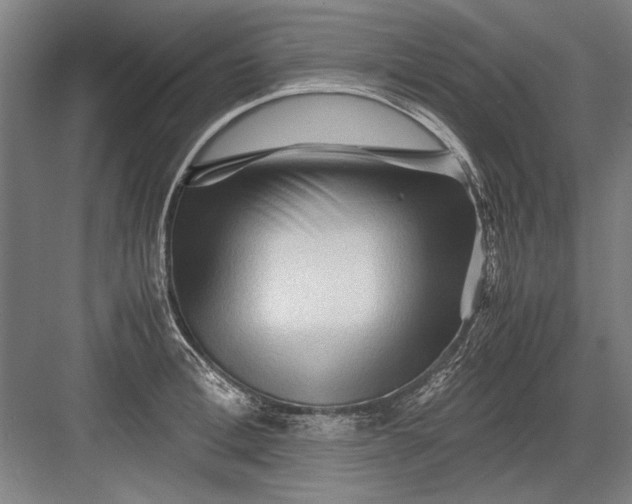 X0000082950996200702152235
