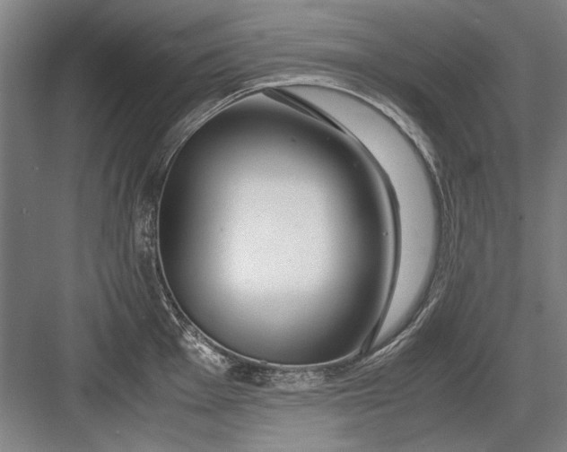 X0000082951001200702152235