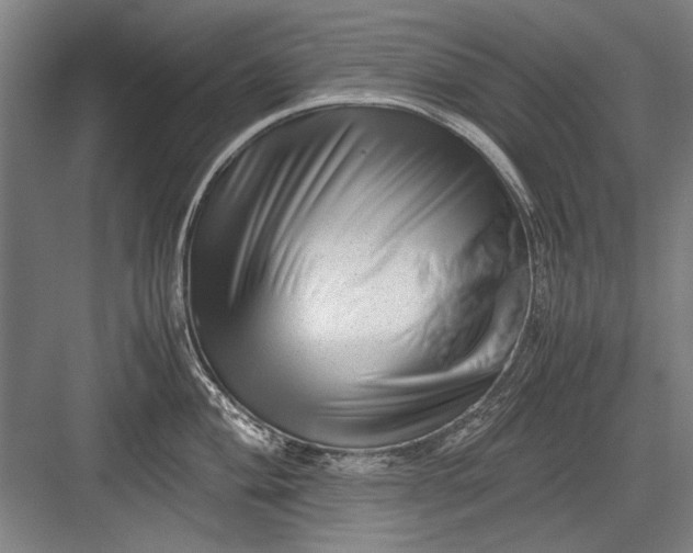 X0000082951004200702152235
