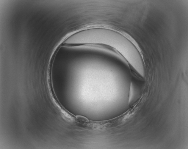 X0000082951005200702152235