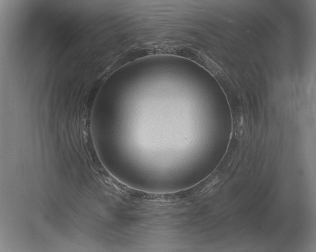 X0000082951010200702152234