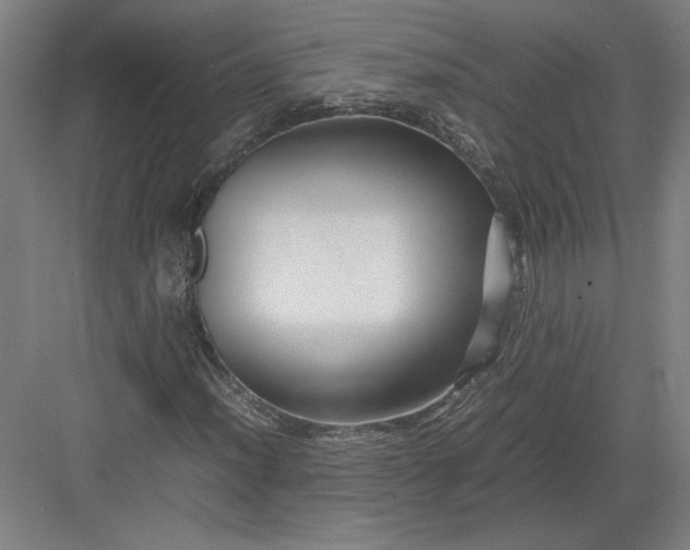 X0000082951012200702152234