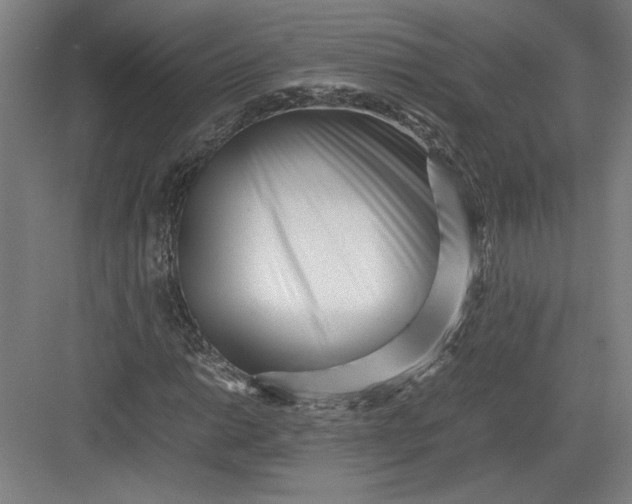 X0000082951014200702152234