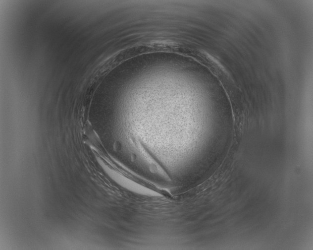X0000082951015200702152234