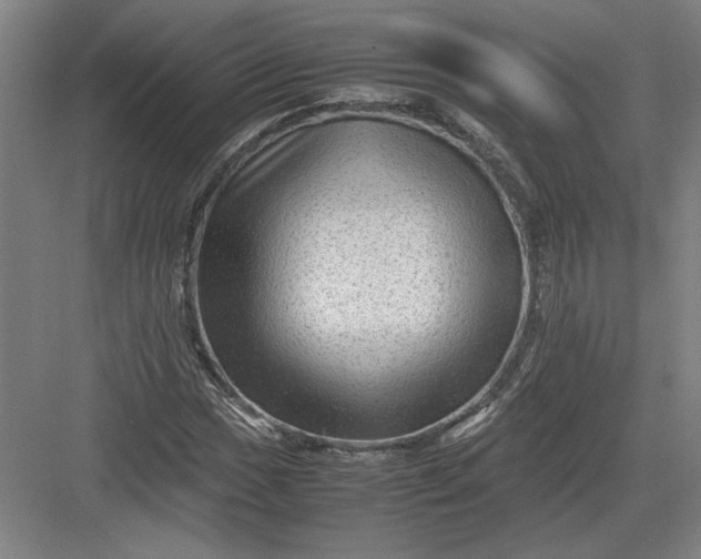 X0000082951017200702152234