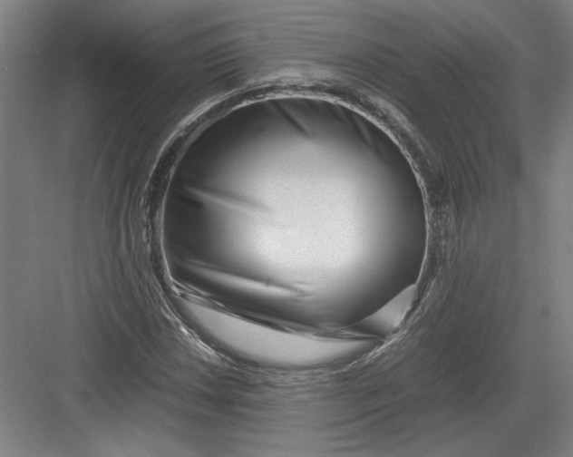 X0000082951018200702152234