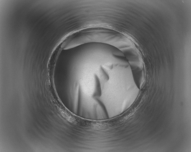 X0000082951022200702152234