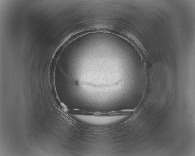 X0000082951023200702152234
