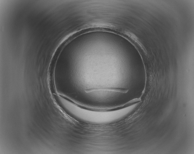 X0000082951024200702152234