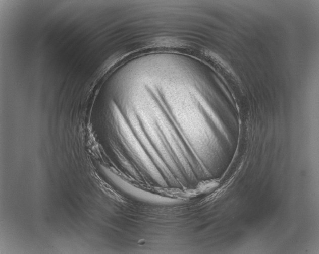 X0000082951025200702152234
