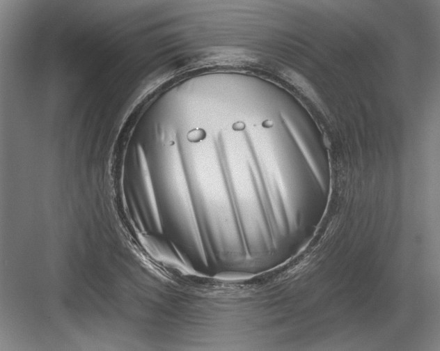 X0000082951026200702152234