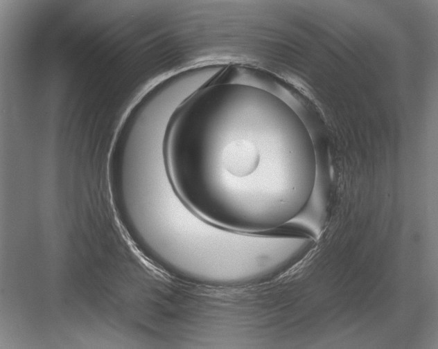 X0000082951030200702152234