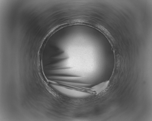X0000082951031200702152234