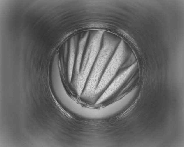 X0000082951033200702152234