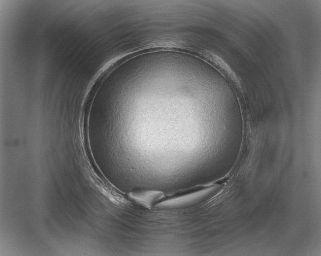 X0000082951035200702152235