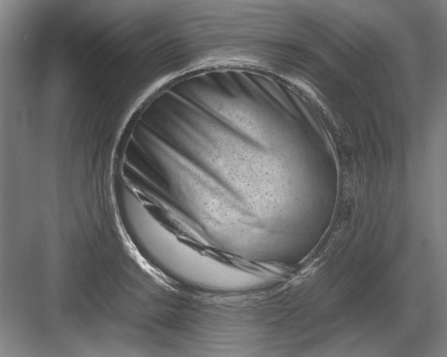 X0000082951038200702152235