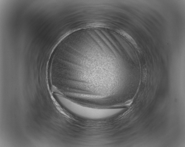 X0000082951039200702152235