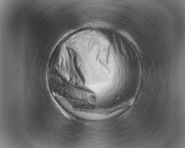 X0000082951040200702152235