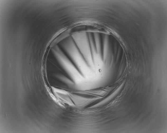 X0000082951042200702152235