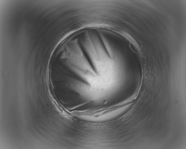 X0000082951044200702152235