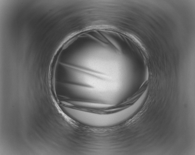 X0000082951046200702152235