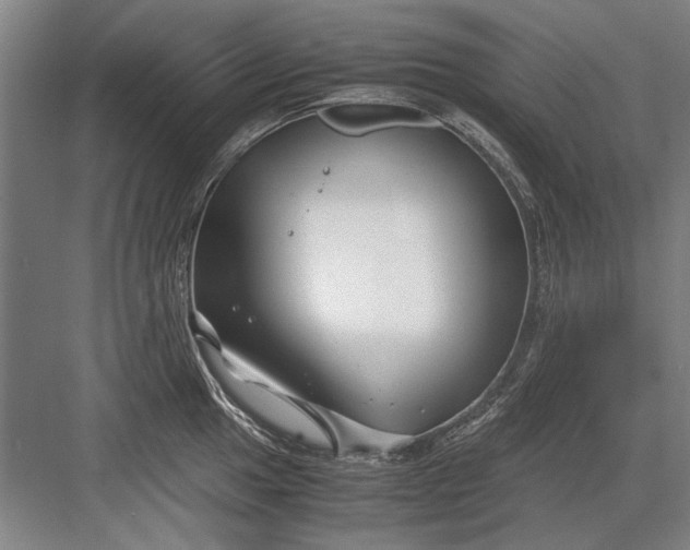 X0000082951049200702152235