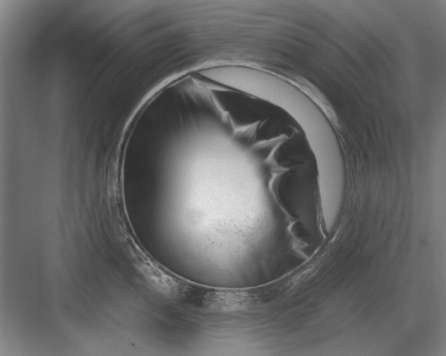 X0000082951052200702152235