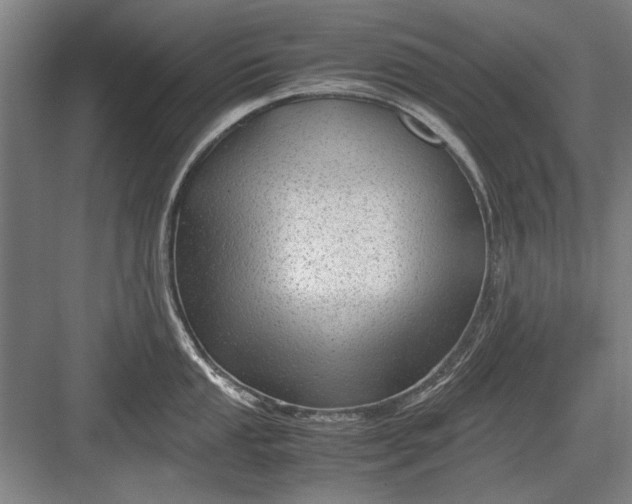X0000082951053200702152235