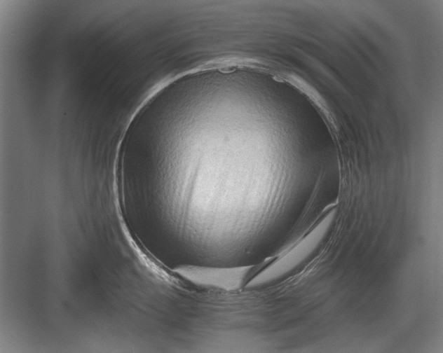 X0000082951055200702152235
